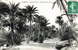 Algerie - Oasis